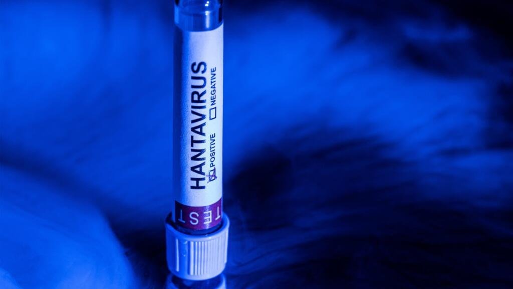 top-news
