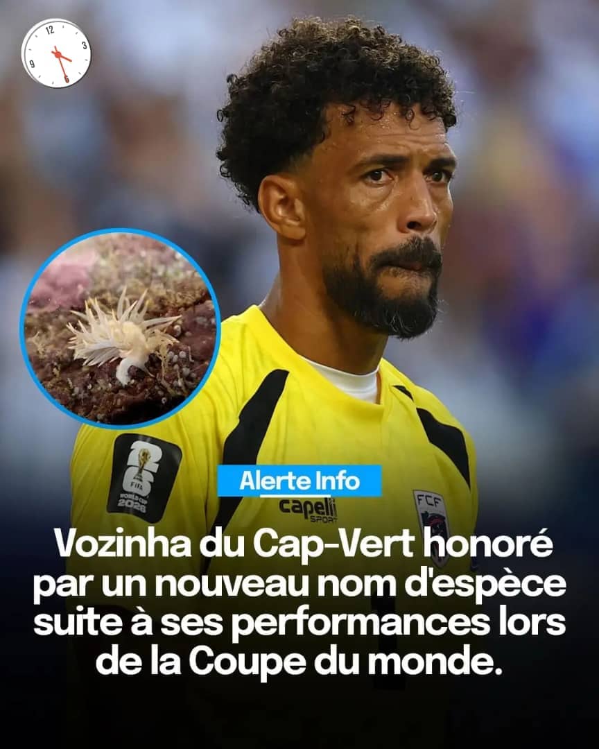 top-news